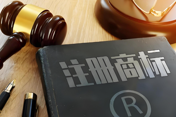 商標(biāo)駁回復(fù)審流程的注意事項有哪些？